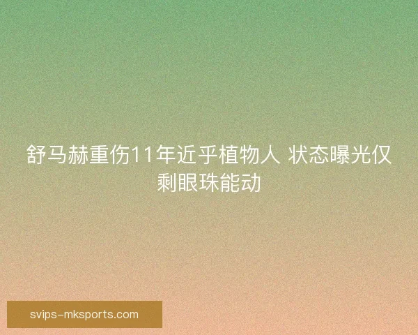 舒马赫重伤11年近乎植物人 状态曝光仅剩眼珠能动